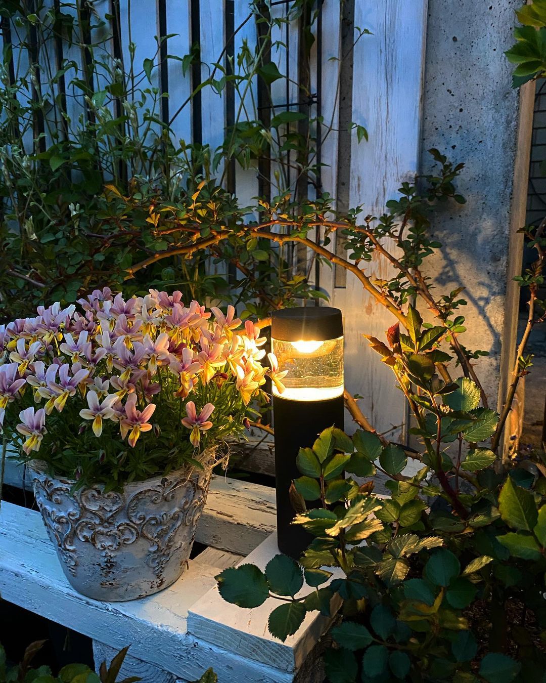 Garden&Exterior 花に灯りガーデンライト設置のタイミング